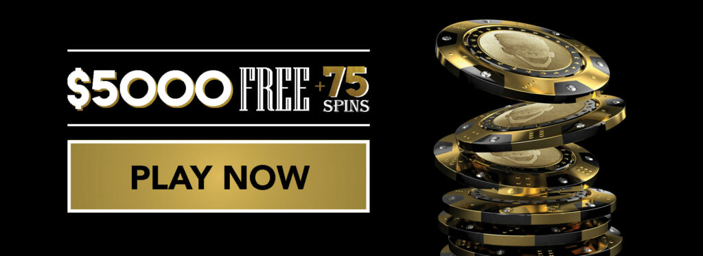 Wild Card City Casino Games